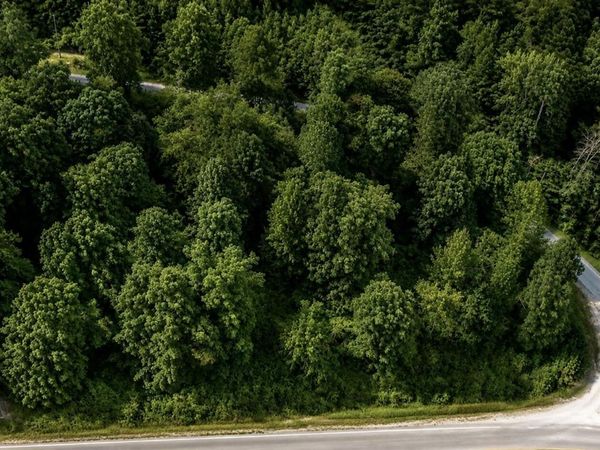 012 Libby Circle Lot 12 , Lexington, TN 38351