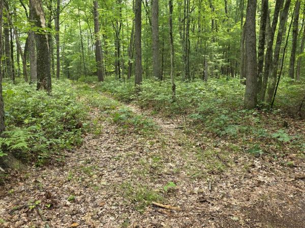 01V/L N Hunters Way, White Cloud, MI 49349