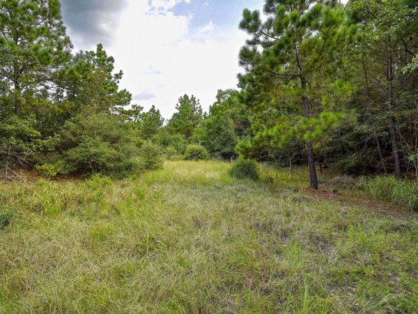 TBD Kipahulu DR, Unit 2, Bastrop, TX 78602