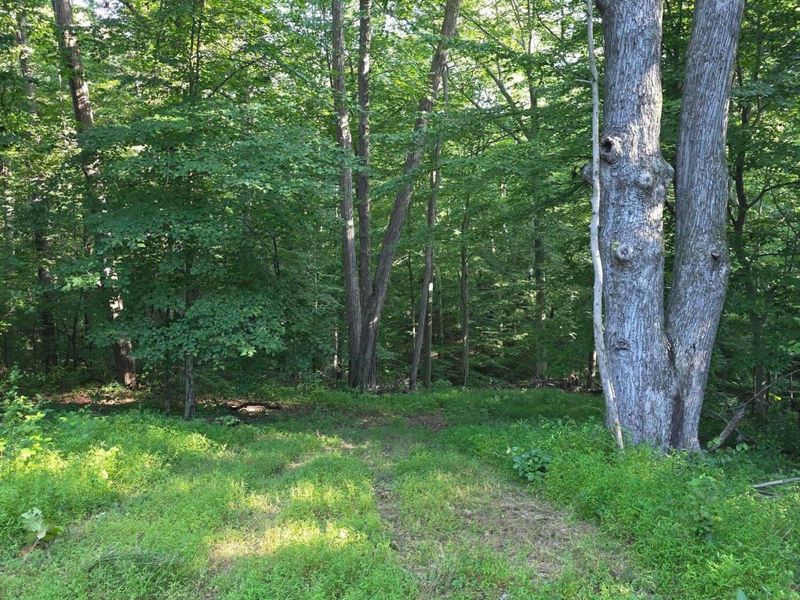 13312 Jake Tom Road , Logan, OH 43138 Photo 28