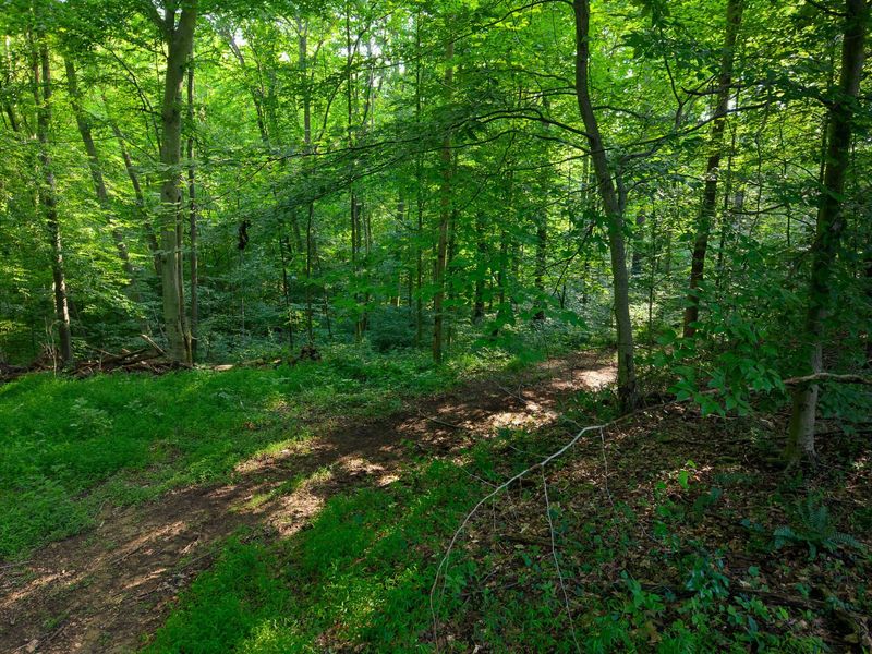 13312 Jake Tom Road , Logan, OH 43138 Photo 54