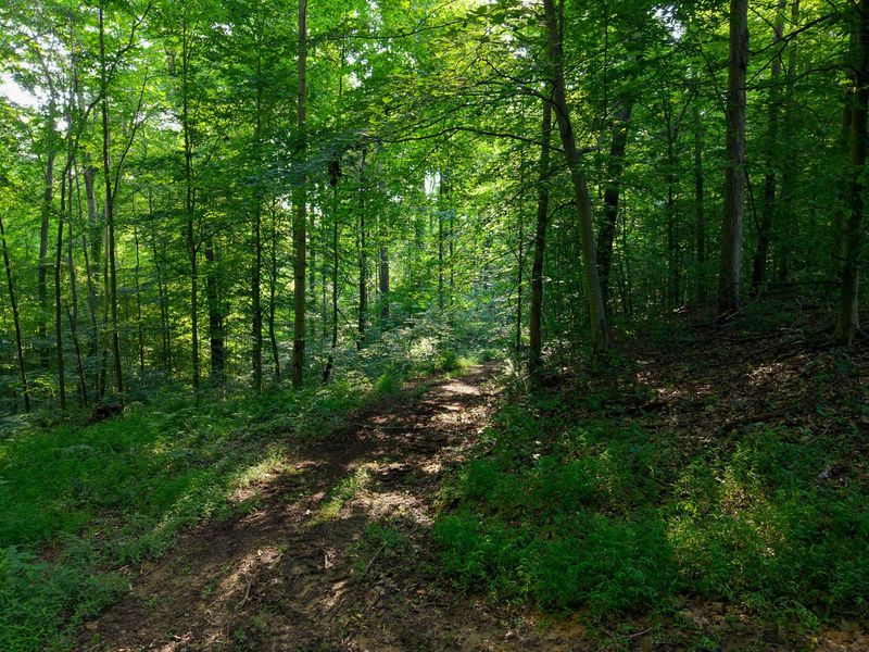 13312 Jake Tom Road , Logan, OH 43138 Photo 55