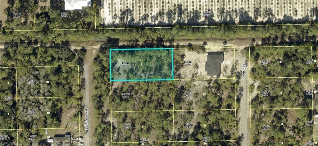 2320 Wellington Ave, Alva, FL 33920 Photo