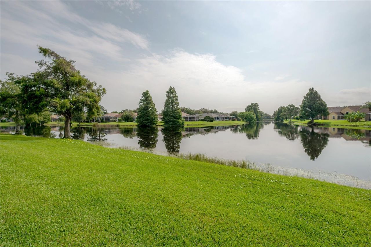 10332 Abbotsford Drive, Tampa, FL 33626 Photo