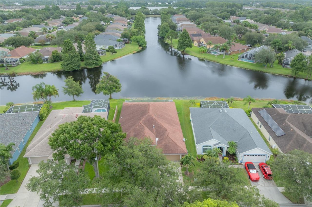 10332 Abbotsford Drive, Tampa, FL 33626 Photo