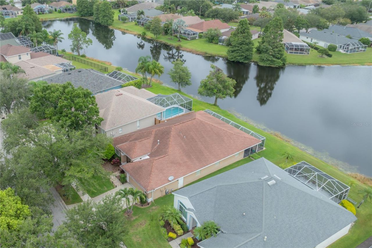 10332 Abbotsford Drive, Tampa, FL 33626 Photo