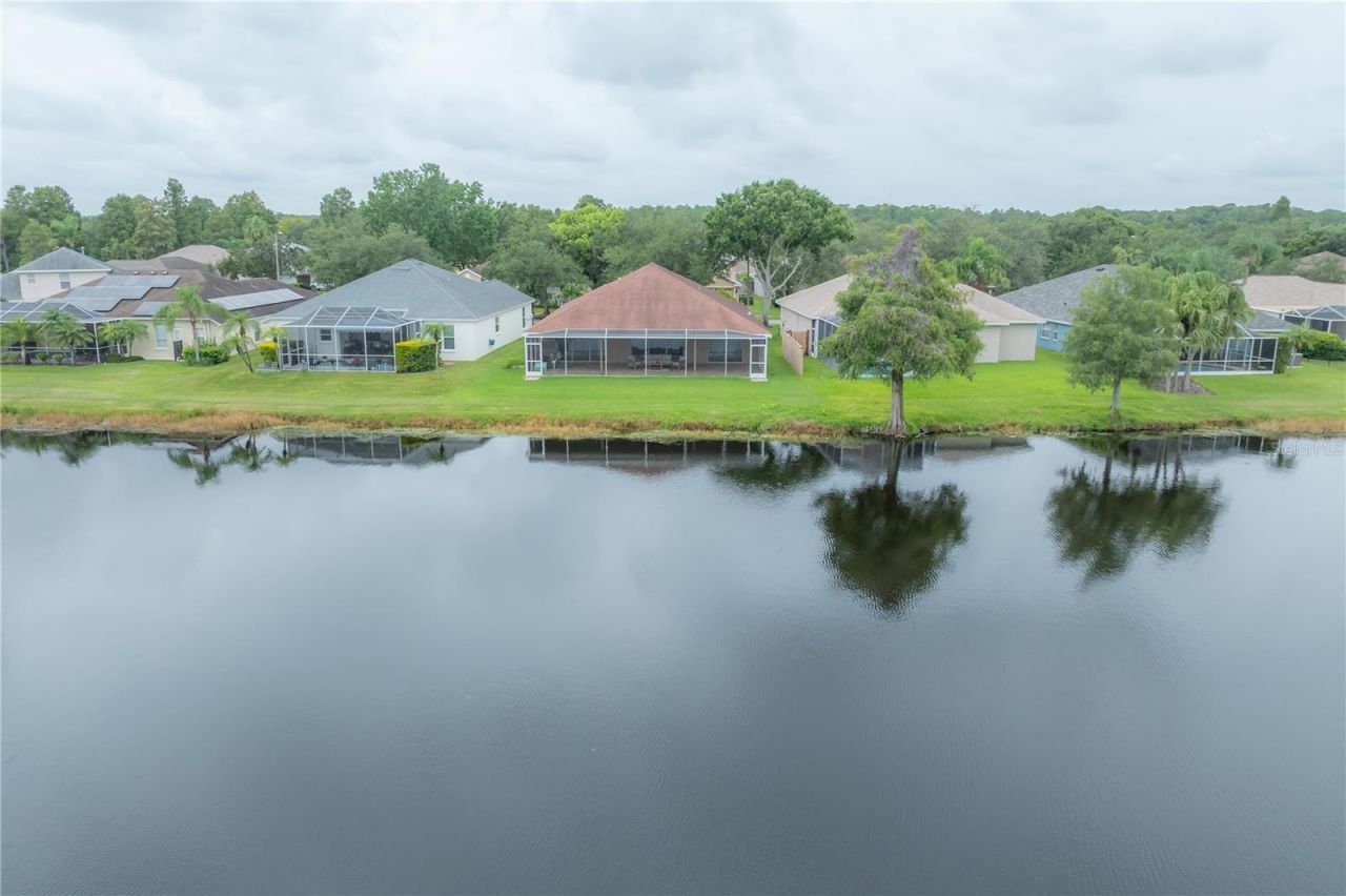 10332 Abbotsford Drive, Tampa, FL 33626 Photo
