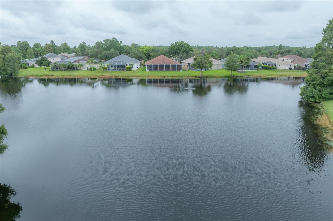 10332 Abbotsford Drive, Tampa, FL 33626 Photo