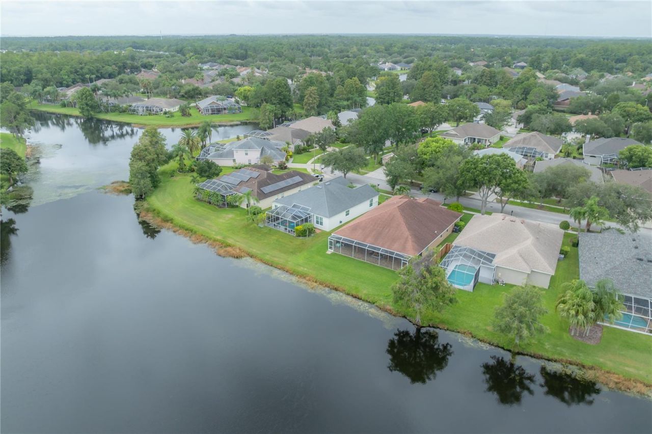 10332 Abbotsford Drive, Tampa, FL 33626 Photo