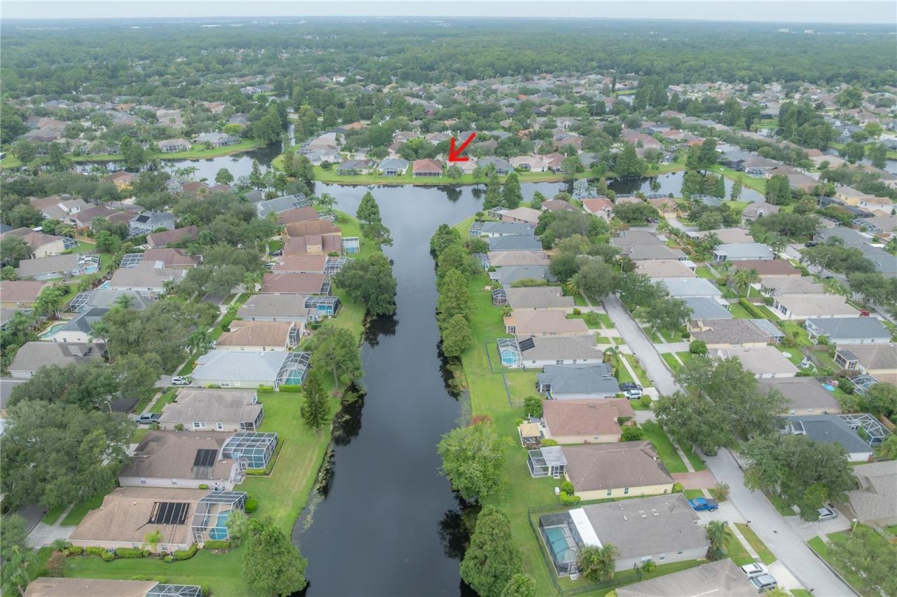 10332 Abbotsford Drive, Tampa, FL 33626 Photo