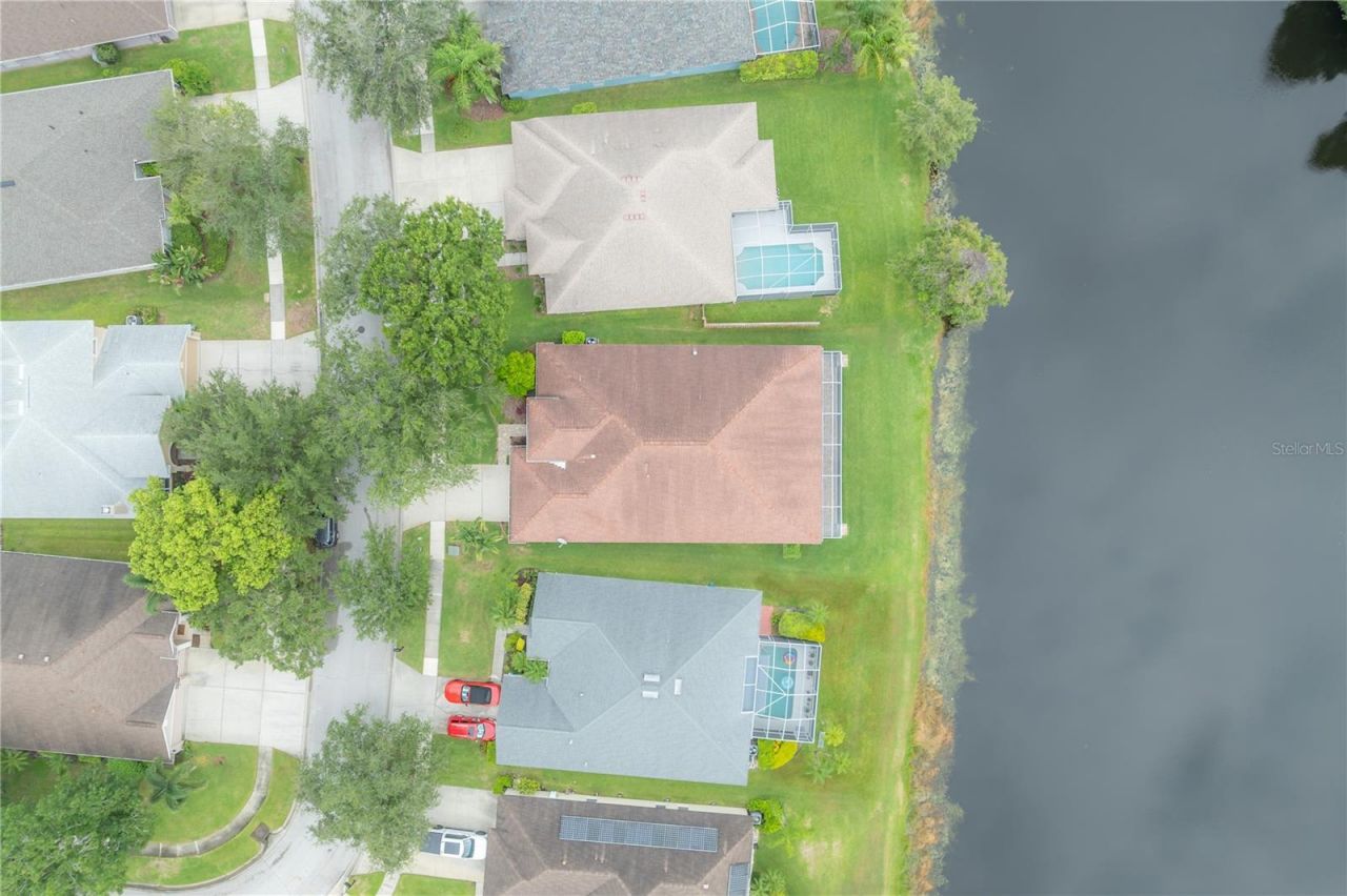 10332 Abbotsford Drive, Tampa, FL 33626 Photo