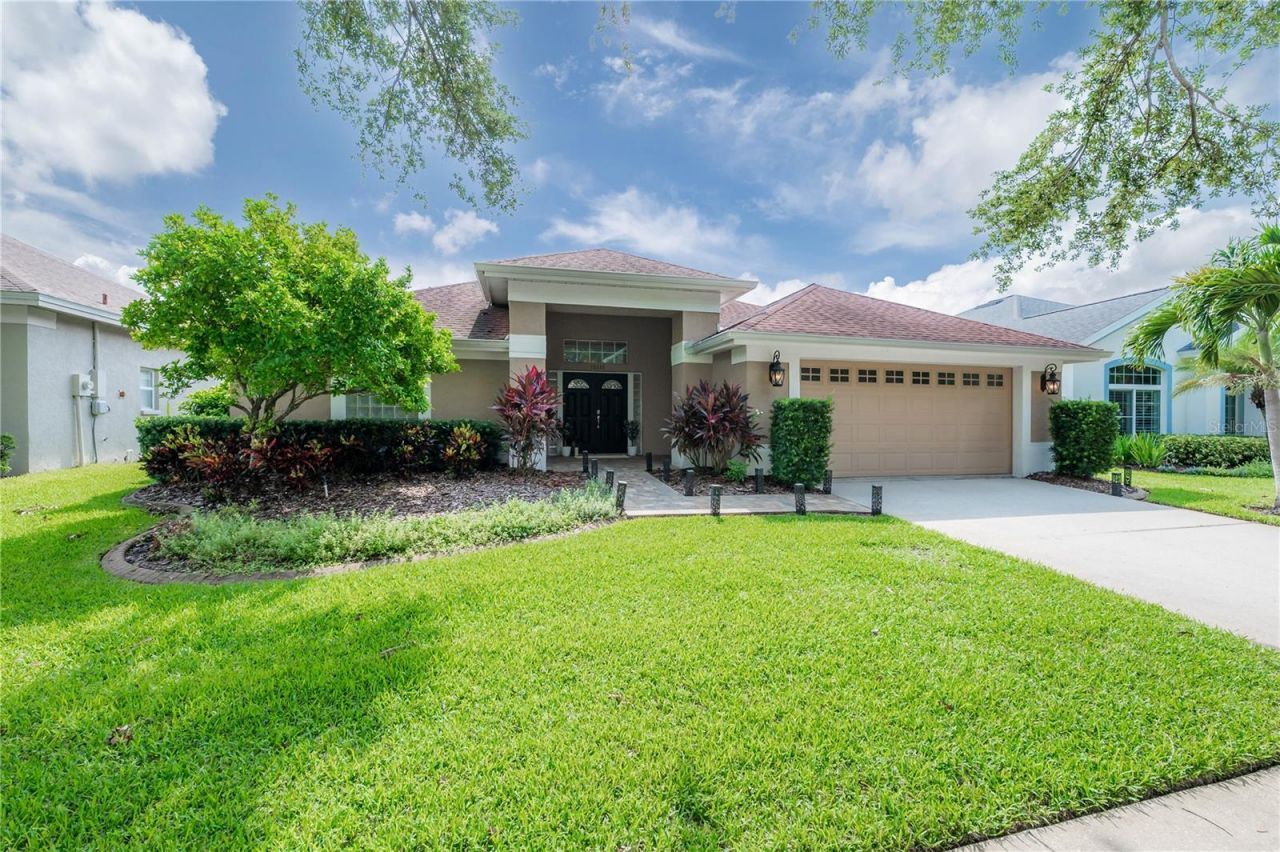 10332 Abbotsford Drive, Tampa, FL 33626 Photo