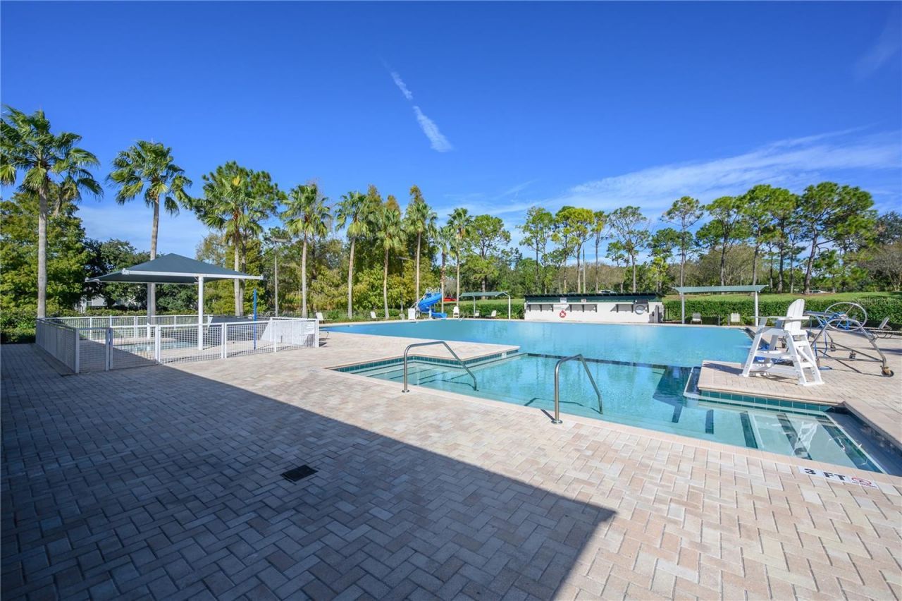 10332 Abbotsford Drive, Tampa, FL 33626 Photo