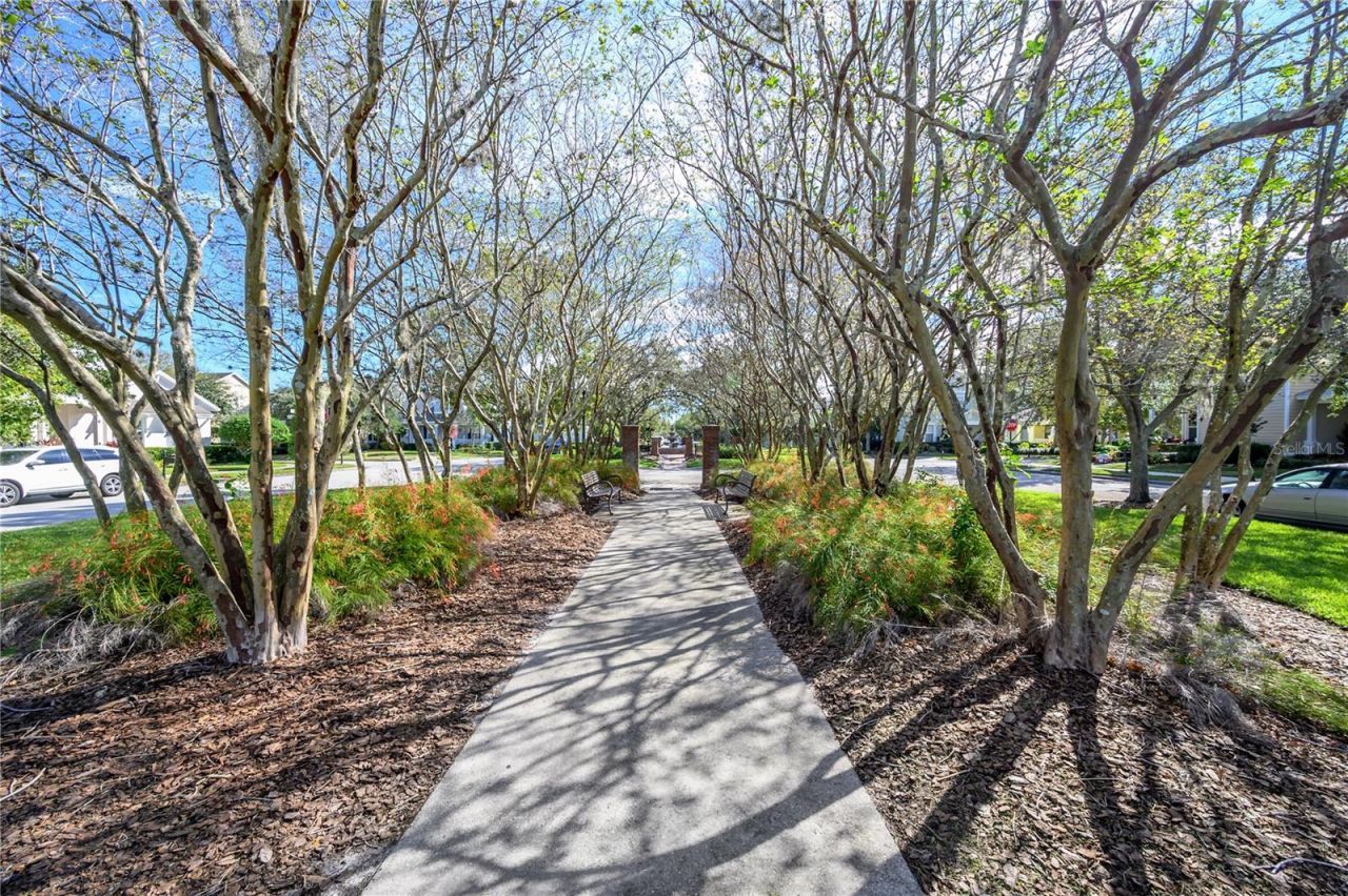 10332 Abbotsford Drive, Tampa, FL 33626 Photo