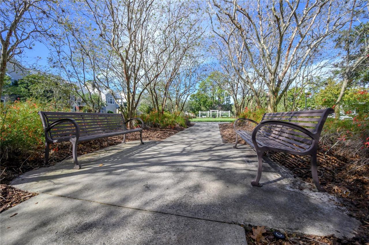 10332 Abbotsford Drive, Tampa, FL 33626 Photo