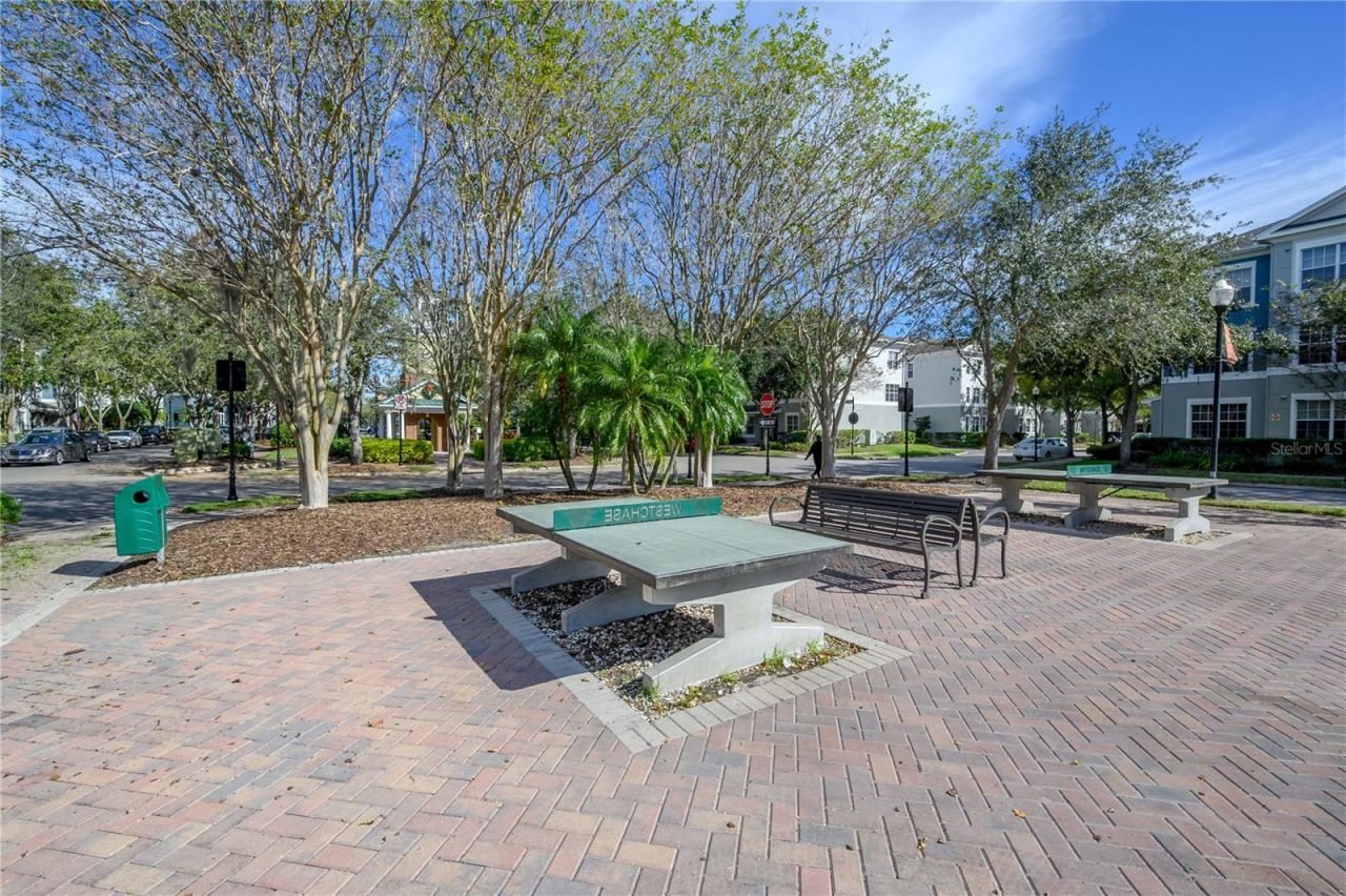 10332 Abbotsford Drive, Tampa, FL 33626 Photo