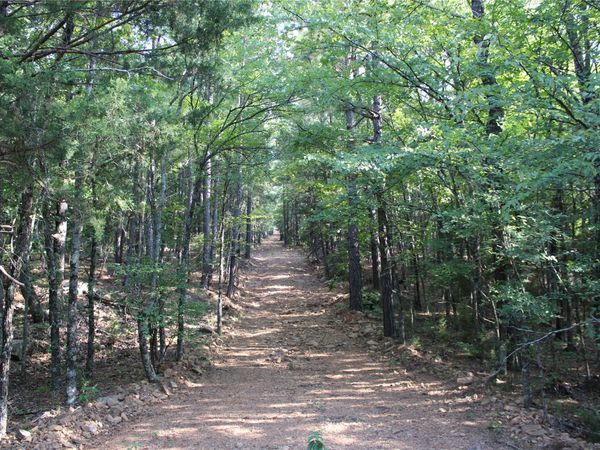 Hwy 1 Highway, Buffalo Valley, OK 74571