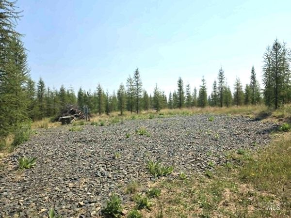 333 Wildwood Drive, Orofino, ID 83544