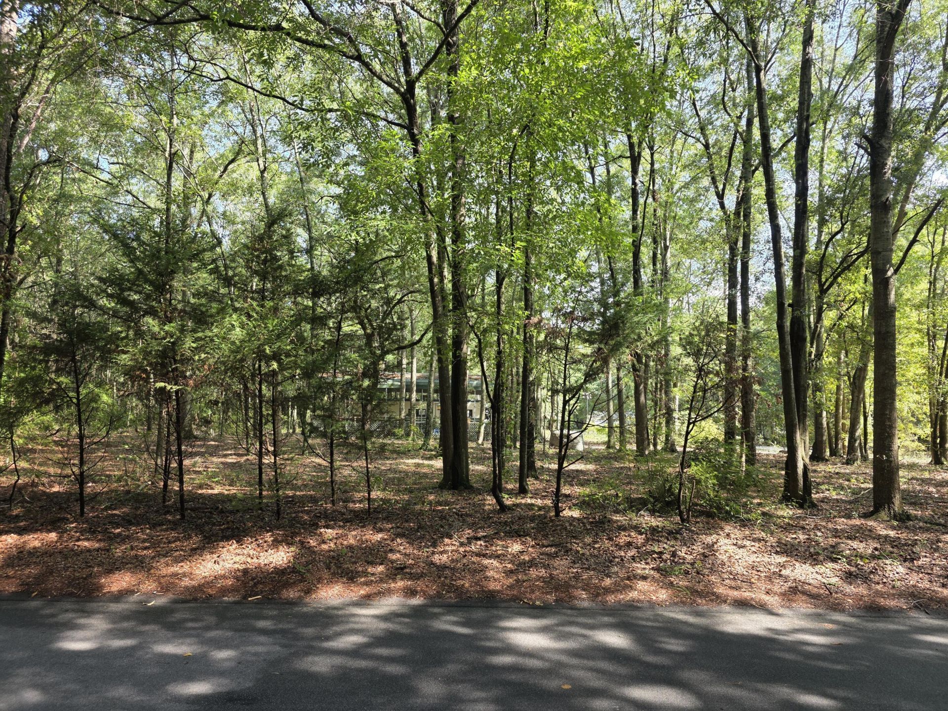 129 Knott Drive Photo 5