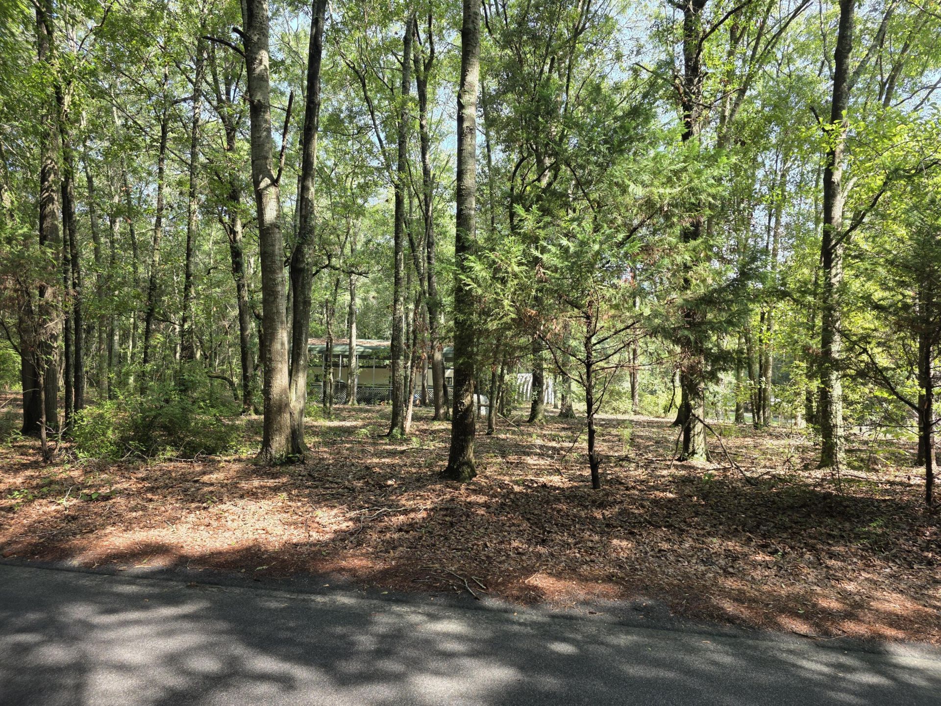 129 Knott Drive Photo 6