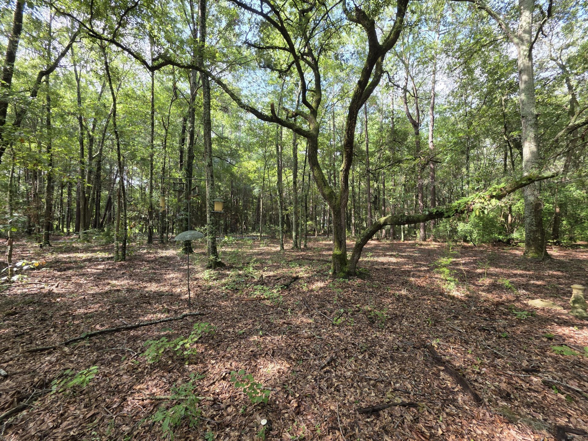 129 Knott Drive Photo 8