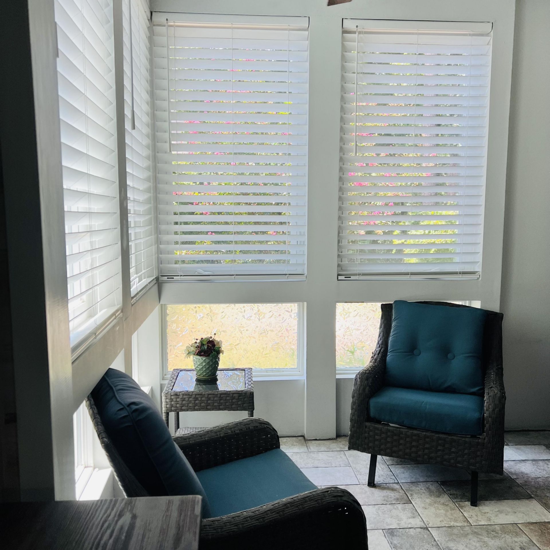 264 Alexandra Drive Photo 19
