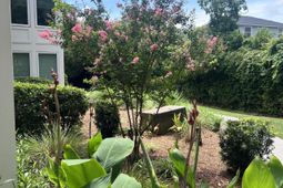 264 Alexandra Drive photo 4