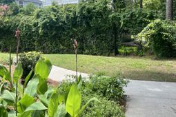 264 Alexandra Drive photo 4