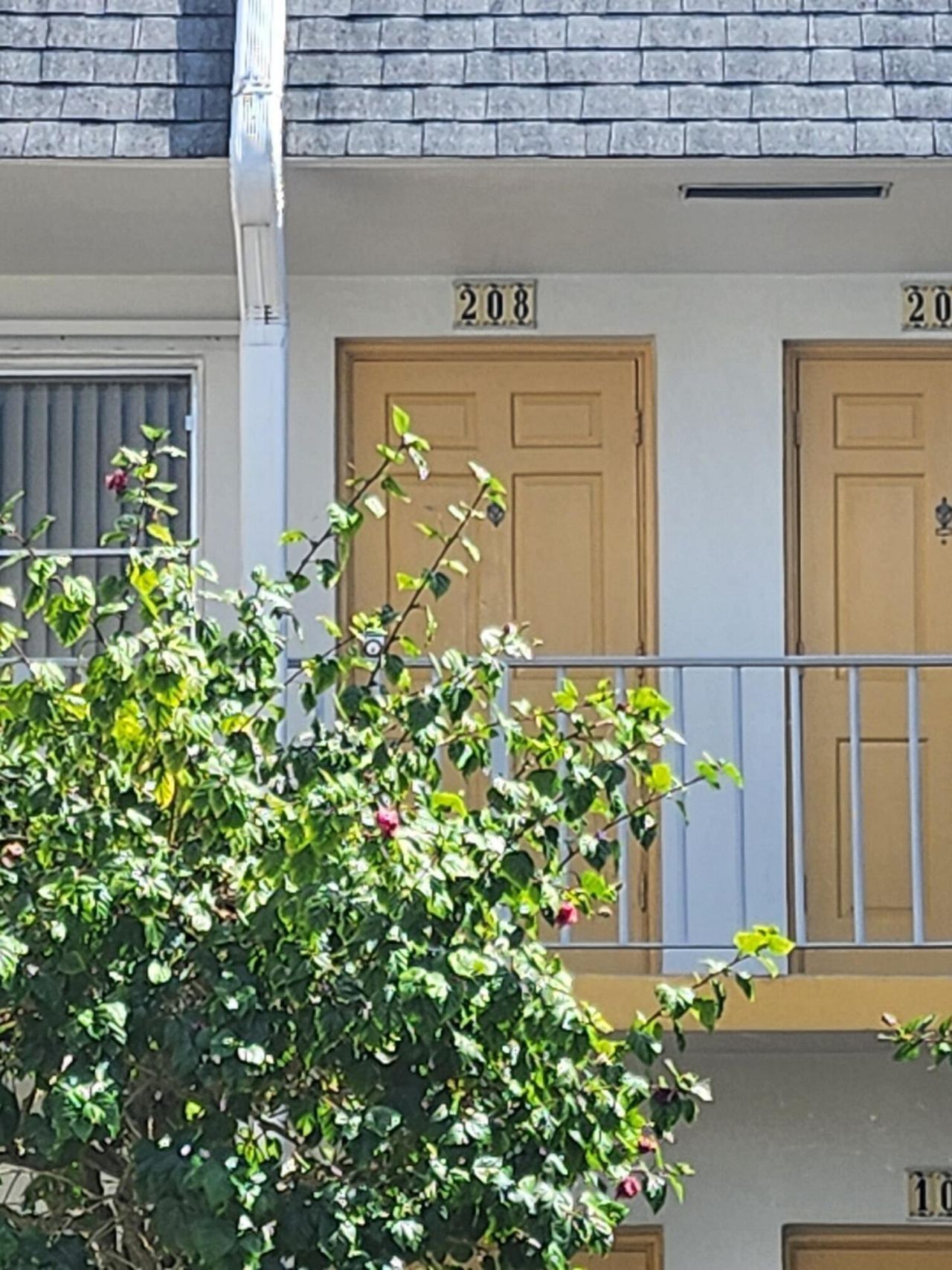 3322 Cynthia Lane, Unit 208, Lake Worth Beach, FL 33461 Photo