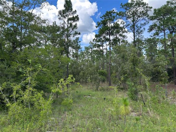 TBD SE 26TH STREET, MORRISTON, FL 32668