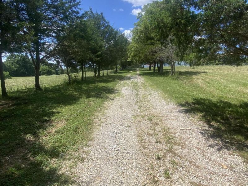 2093 Renaker-Berry Road, Berry, KY 41003 Photo 29