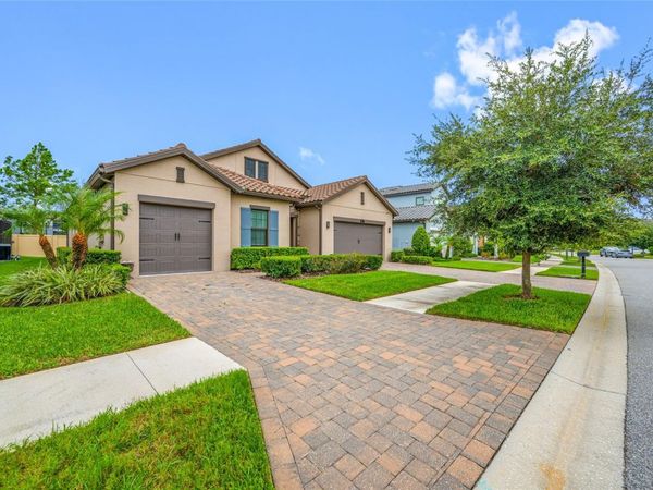18308 LEAFMORE STREET , LUTZ, FL 33548