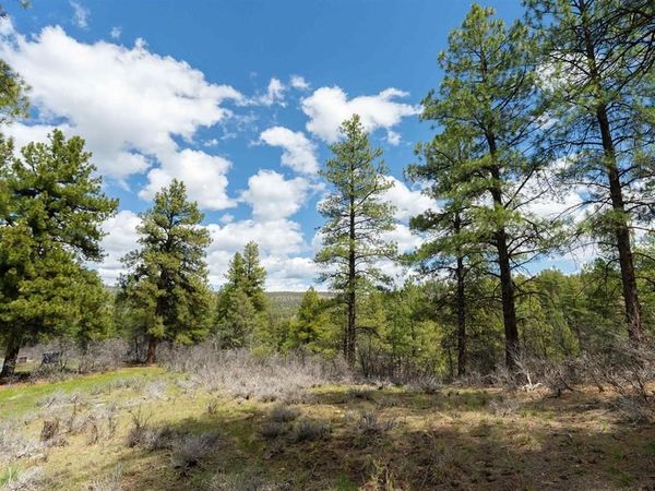 422 Oakridge Drive, Pagosa Springs, CO 81147