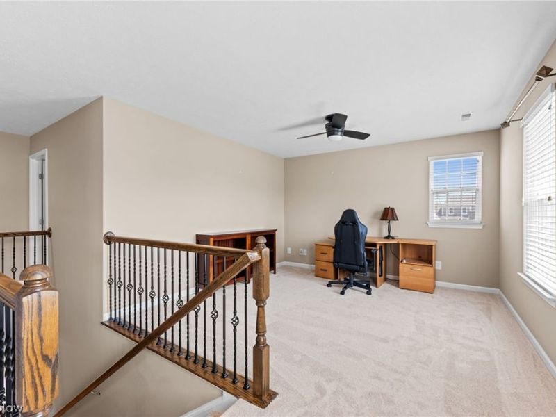 3819 Arcadia Circle, Willoughby, OH 44094 Photo 17