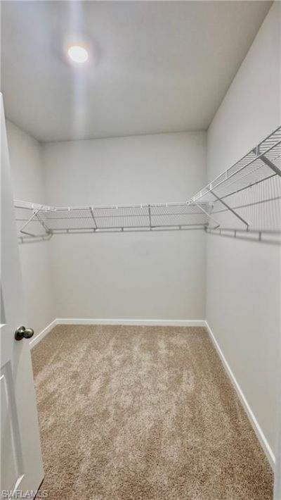 17710 Shade Tree Loop , Babcock Ranch, FL 33982 Photo