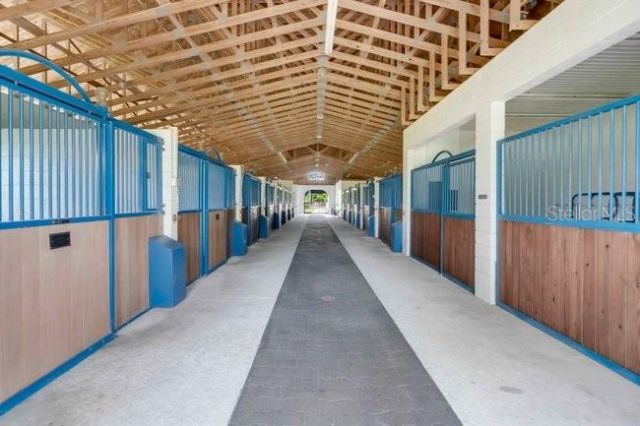 2121 Dressage Cove, Chuluota, FL 32766 Photo