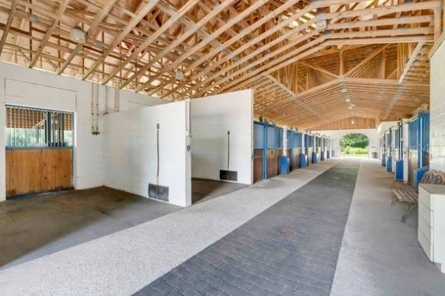 2121 Dressage Cove, Chuluota, FL 32766 Photo