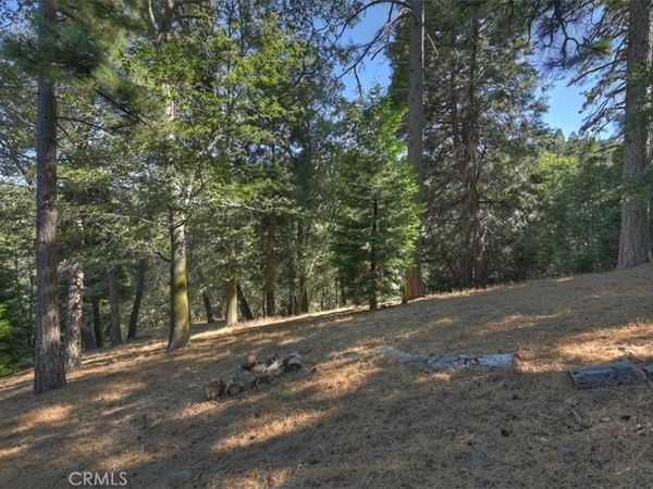 0 Pine, Cedarpines Park, CA 92322