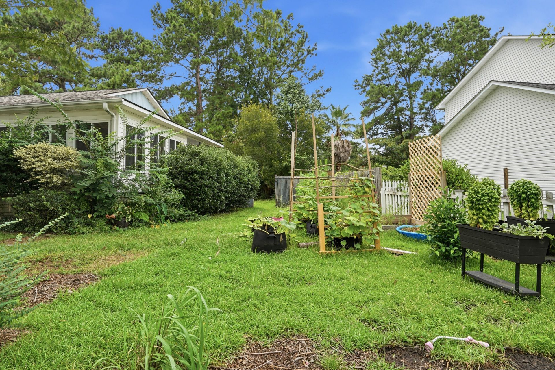 608 Dolphin Drive Photo 62