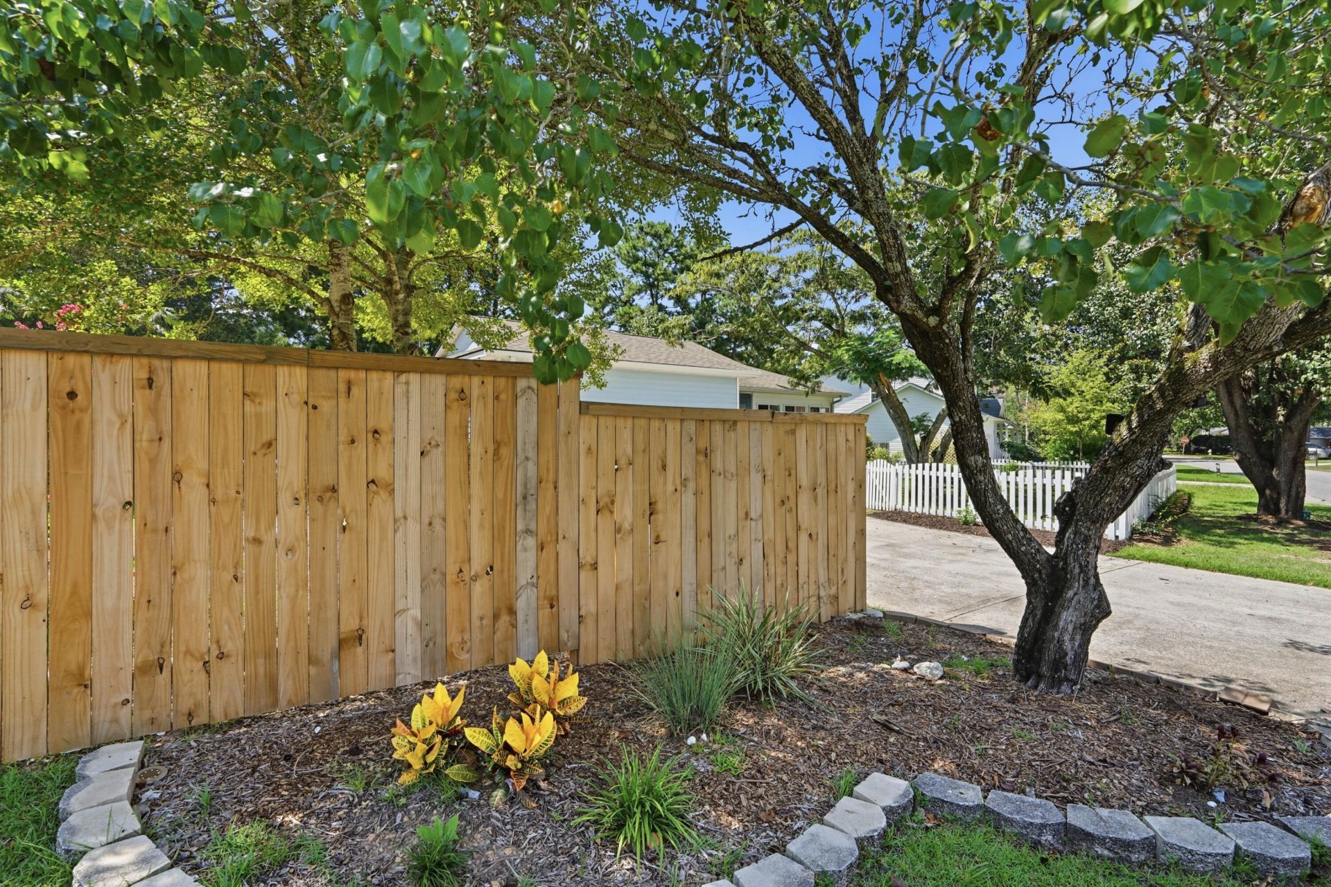 608 Dolphin Drive Photo 65