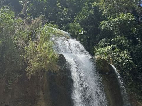 Main Photo