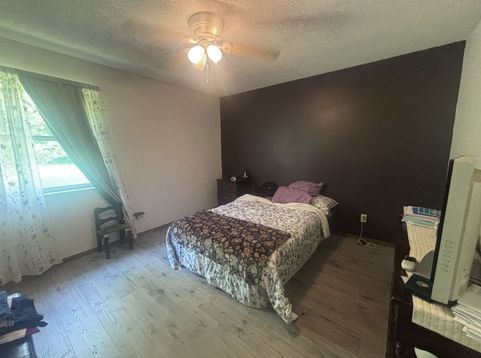 Main Photo