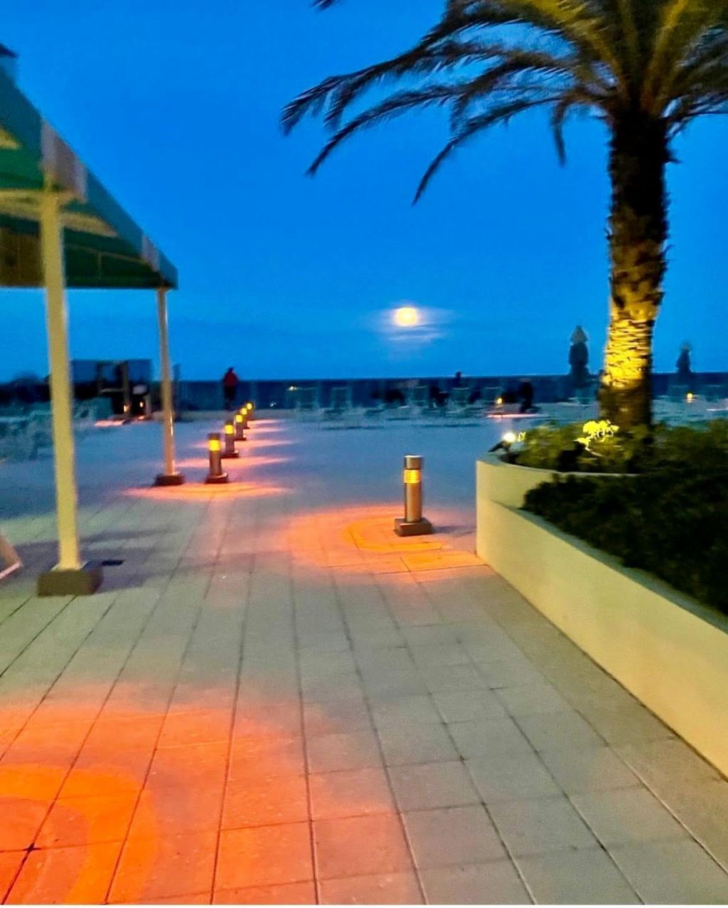 2501 S Ocean Drive, Unit 338, Hollywood, FL 33019 Photo