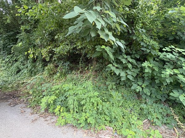 3820 Grace Avenue, Chattanooga, TN 37406
