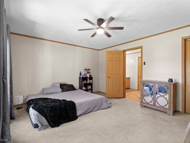 51554 Rehm Road, Saint Clairsville, OH 43950 Photo 19