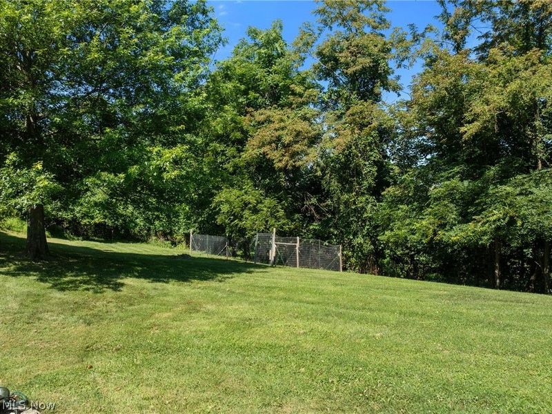 51554 Rehm Road, Saint Clairsville, OH 43950 Photo 27