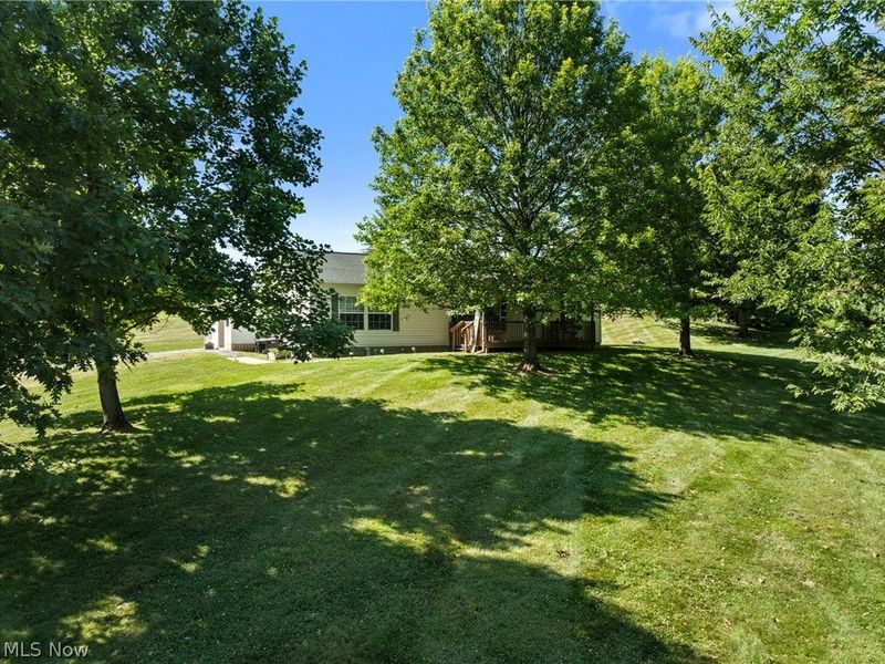51554 Rehm Road, Saint Clairsville, OH 43950 Photo 29