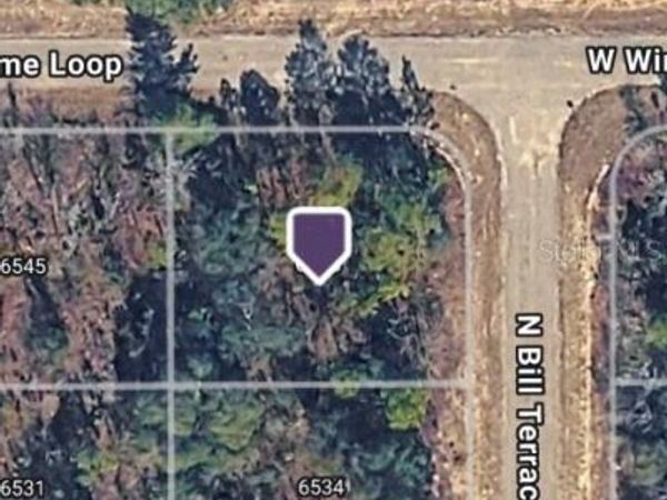 6548 N BILL TERRACE , CITRUS SPRINGS, FL 34434