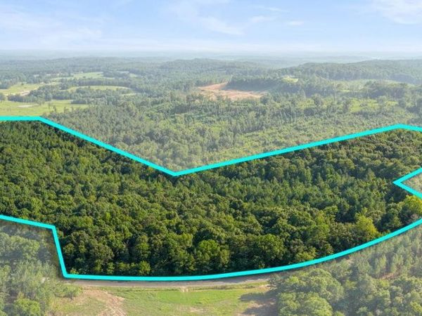 0 Jones Rd, Russellville, AL 35653
