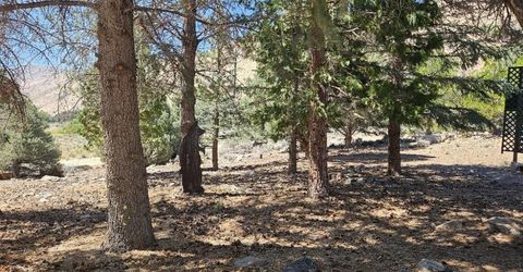 2026 Masonic Drive, Gardnerville, NV 89410 Photo